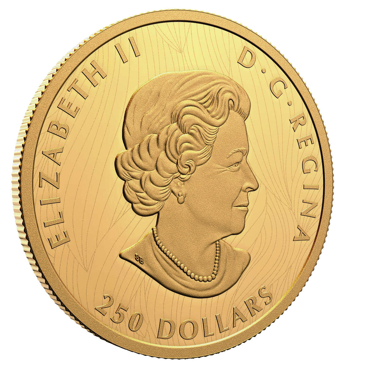 2021 $250 Bold Bison (EHR) - Pure Gold Coin