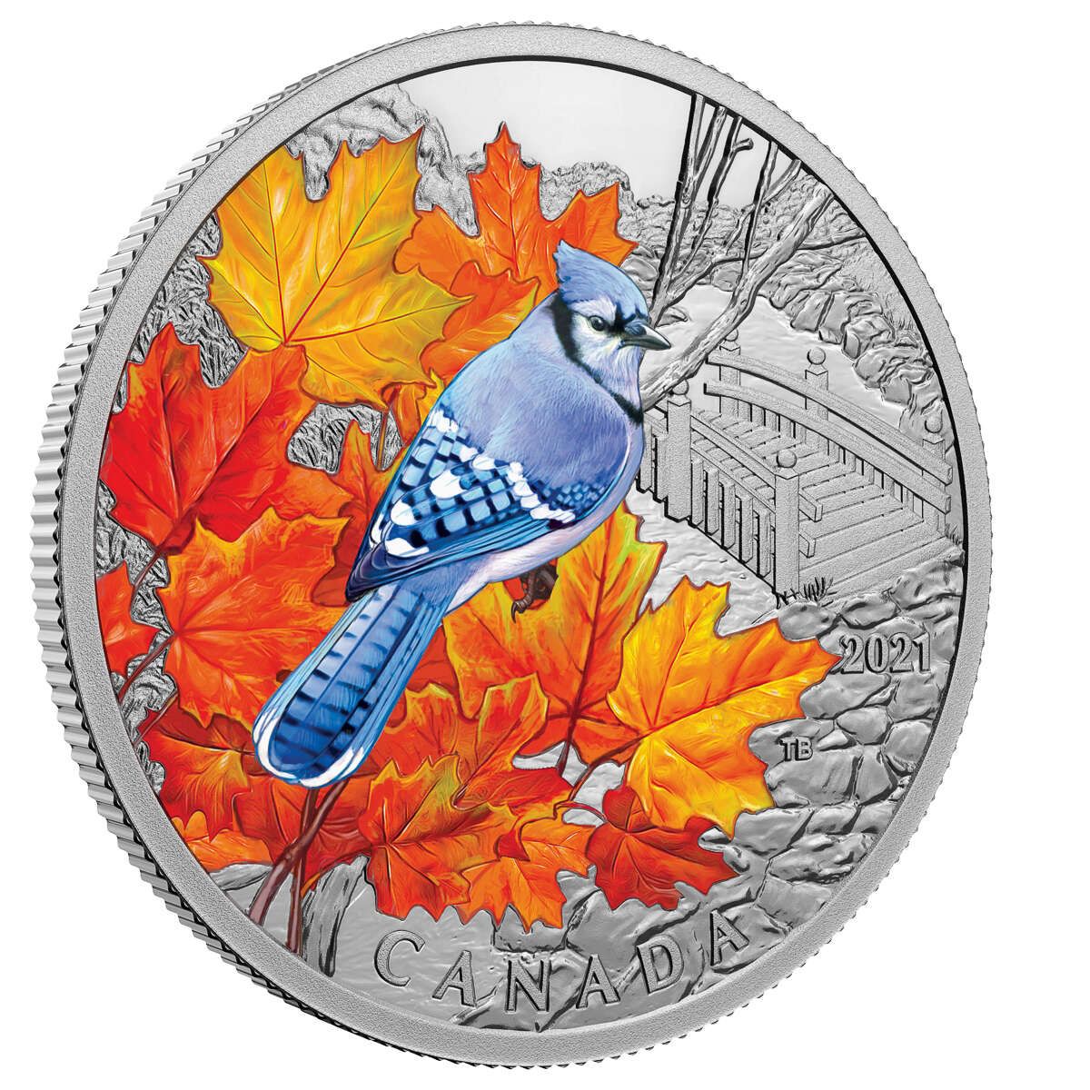 2021 $20 Colourful Birds: Blue Jay - Pure Silver Coin Default Title