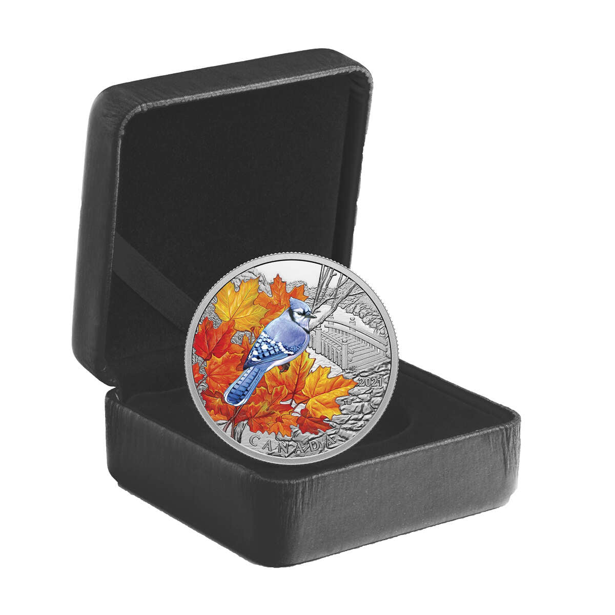 2021 $20 Colourful Birds: Blue Jay - Pure Silver Coin Default Title