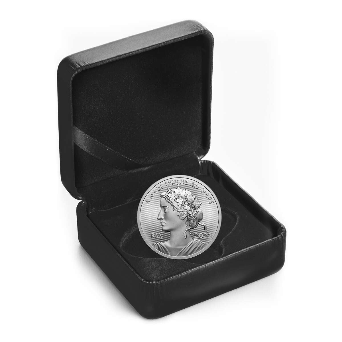 2022 $1 Peace Dollar - Pure Silver Coin