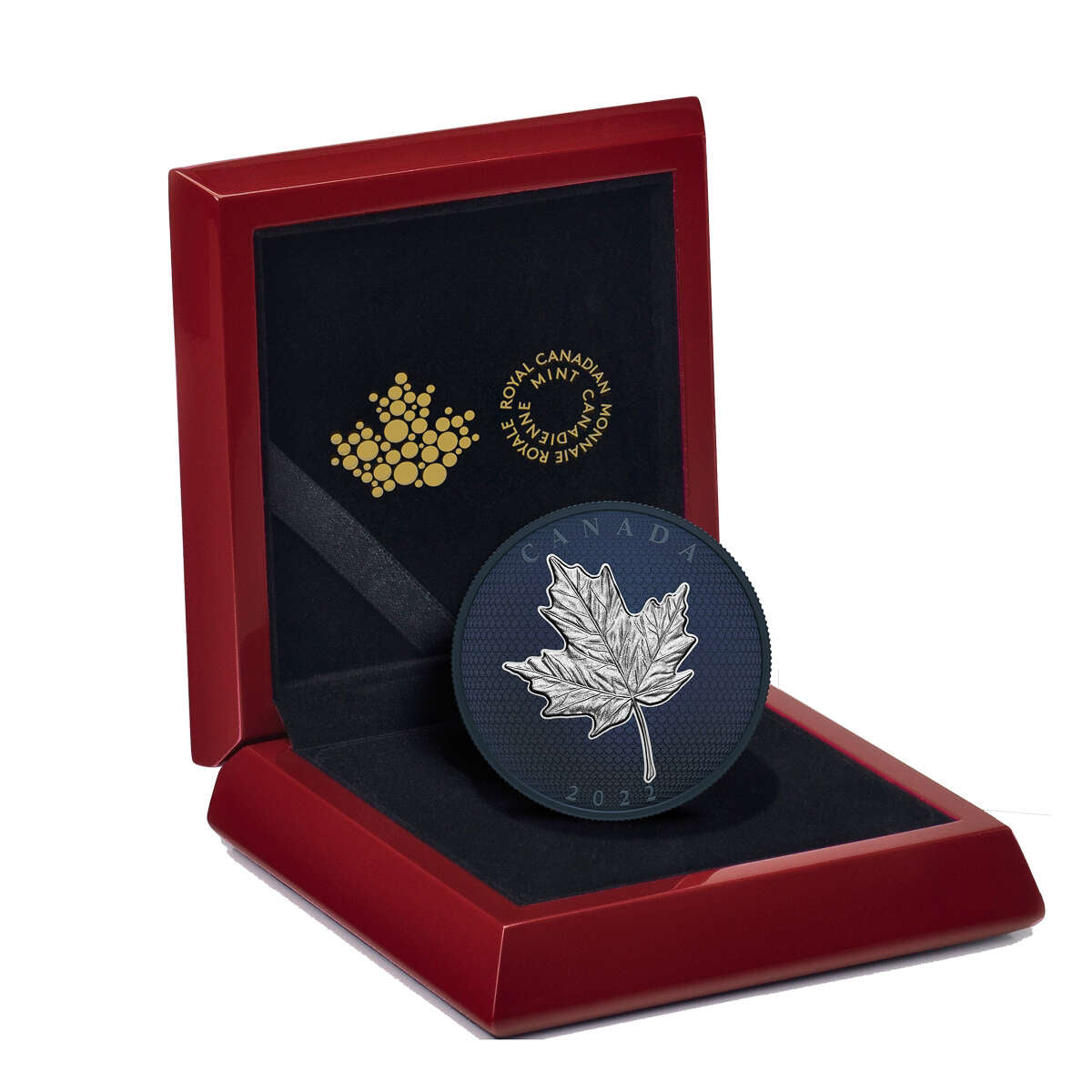 2022 $50 Maple Leaves in Motion - Pure Silver Coin