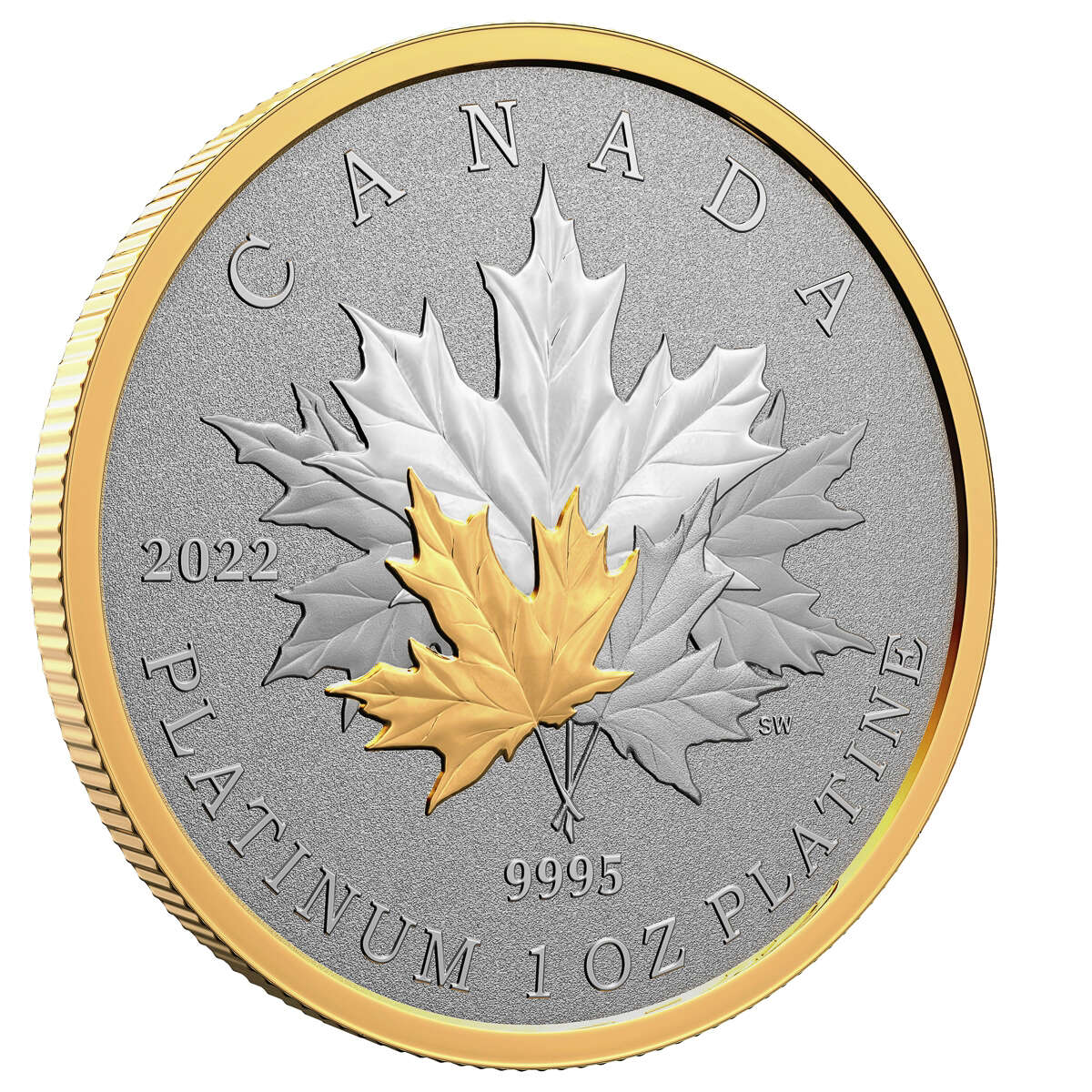 2022 $300 Maple Leaf Forever - Pure Platinum Coin