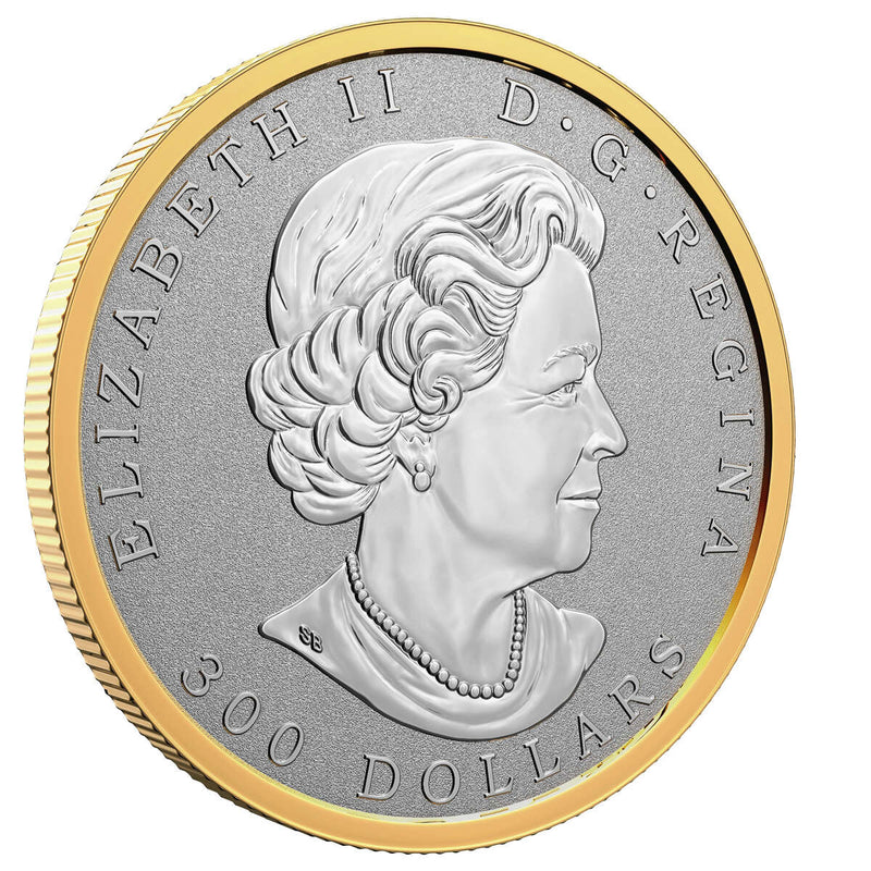 2022 $300 Maple Leaf Forever - Pure Platinum Coin