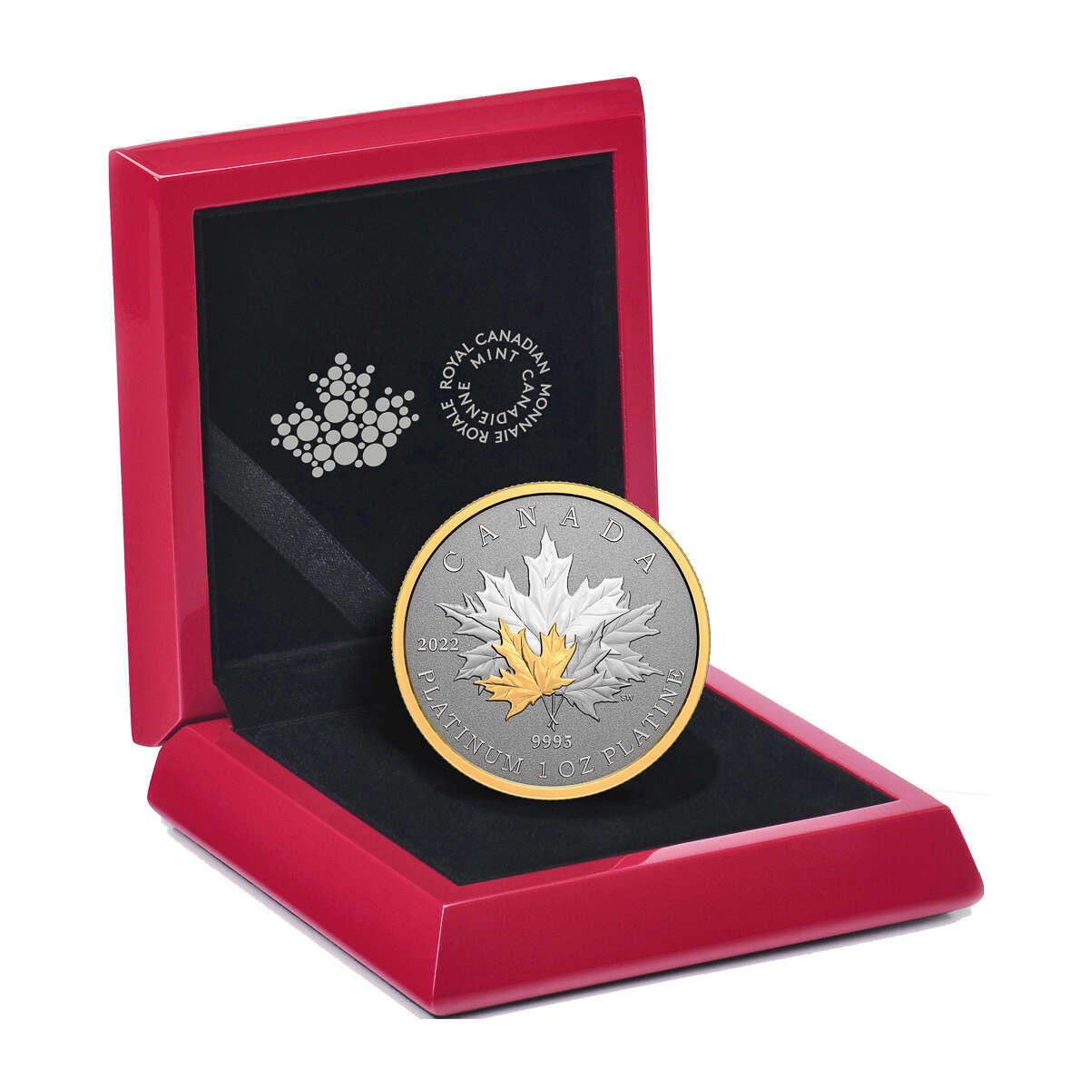 2022 $300 Maple Leaf Forever - Pure Platinum Coin