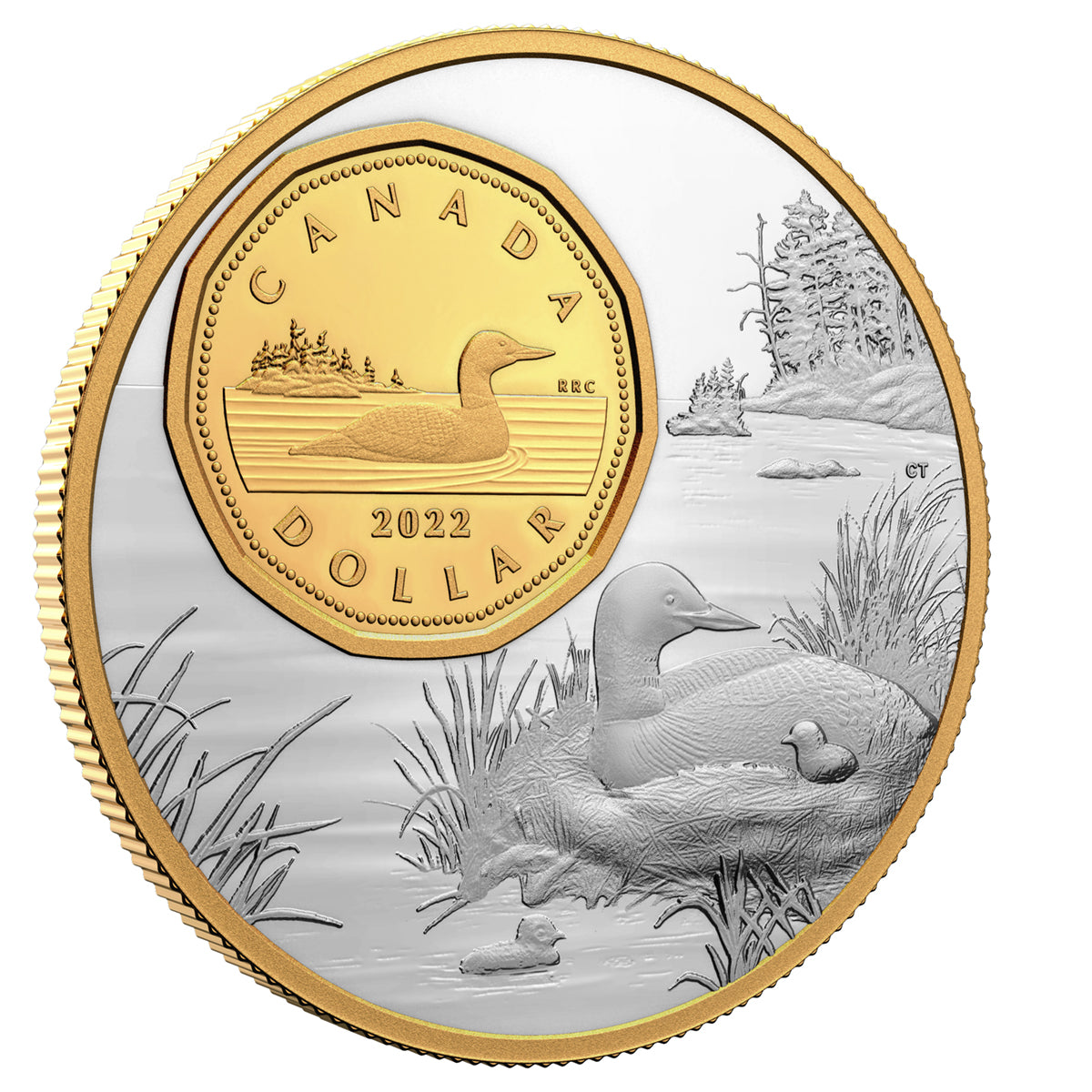 2022 $1 The Bigger Picture: The Loon - Pure Silver Coin