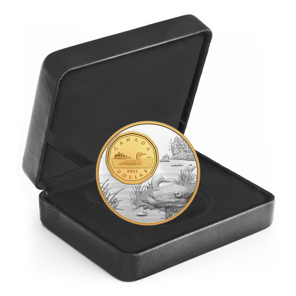 2022 $1 The Bigger Picture: The Loon - Pure Silver Coin