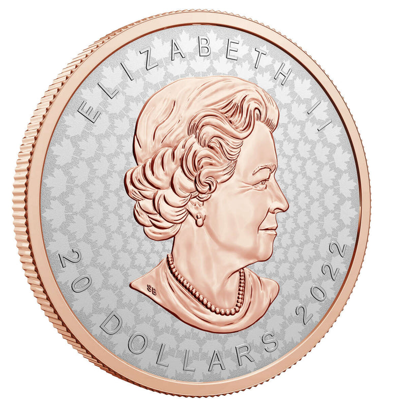 2022 $20 Super Incuse 1 oz SML - Pure Silver Coin