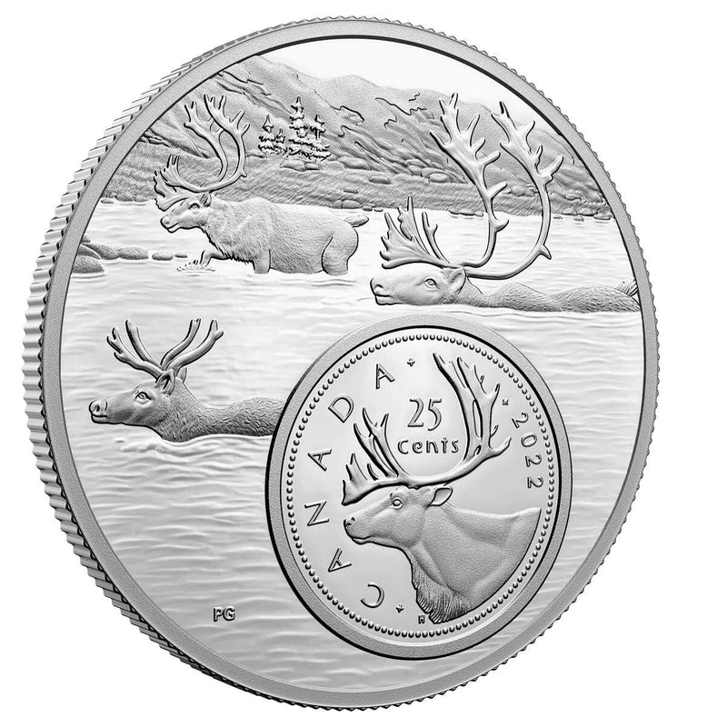 2022 25c The Bigger Picture: The Caribou - Pure Silver Coin