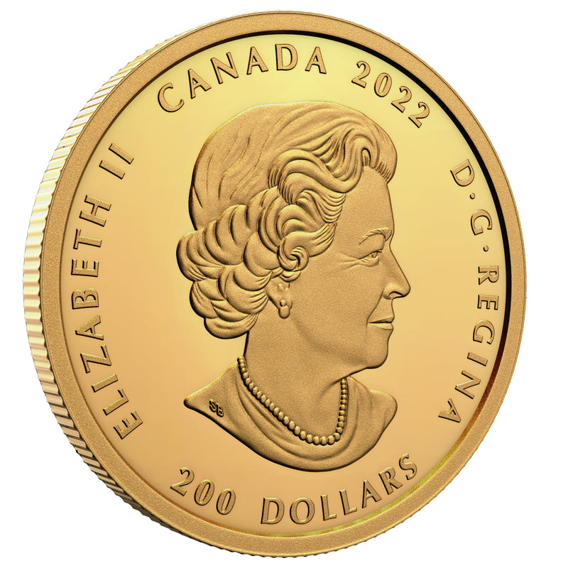2022 $200 Celebrating Canada's Diversity: Culture and Traditions - Pure Gold Coin