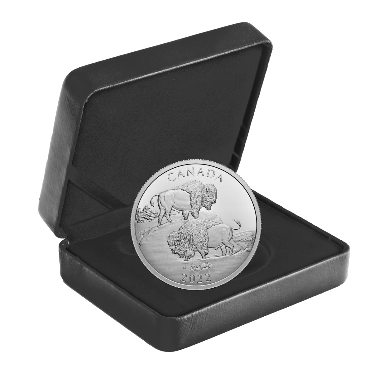 2022 $30 The Mighty Bison - Pure Silver Coin