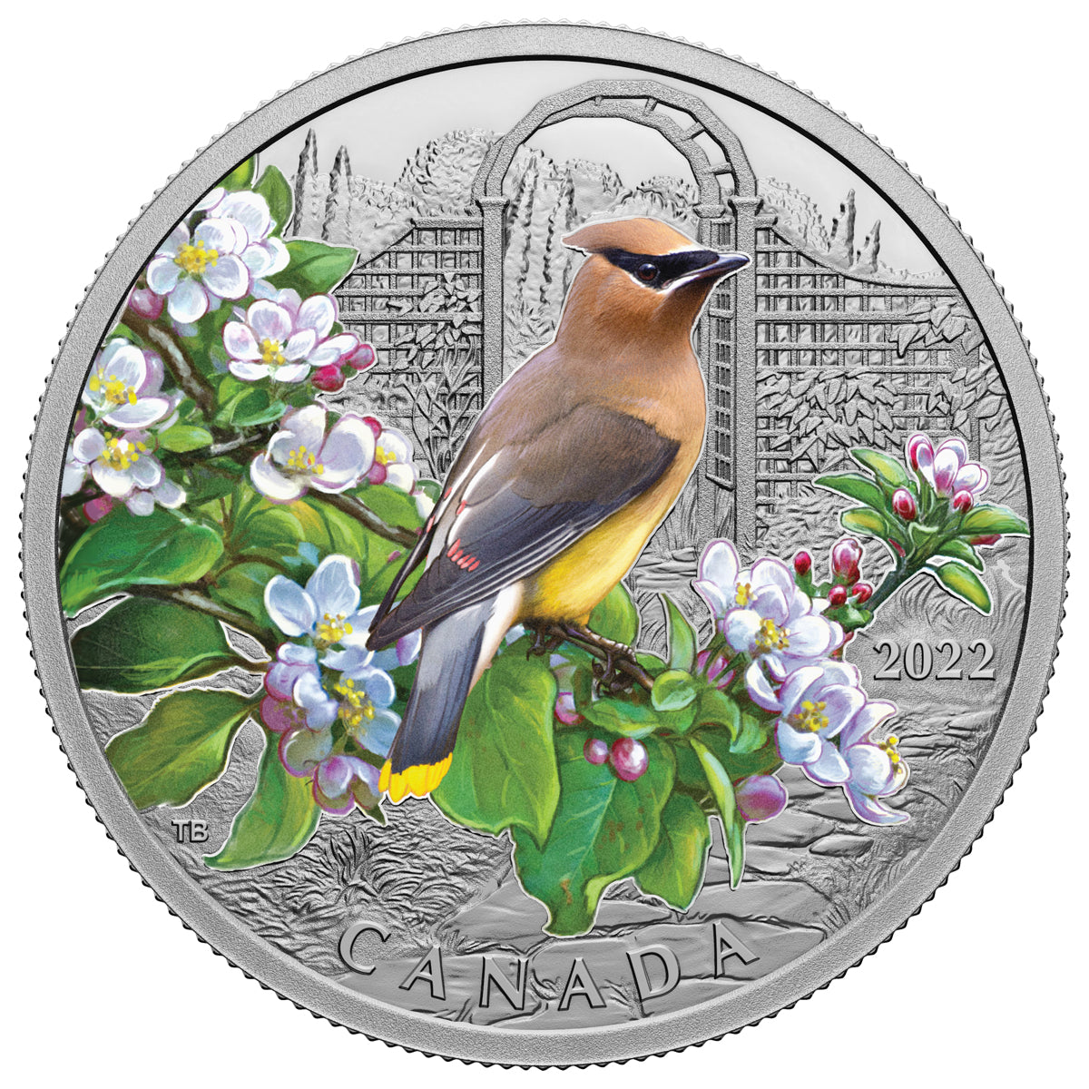 2022 $20 Colourful Birds: Cedar Waxwing - Pure Silver Coin