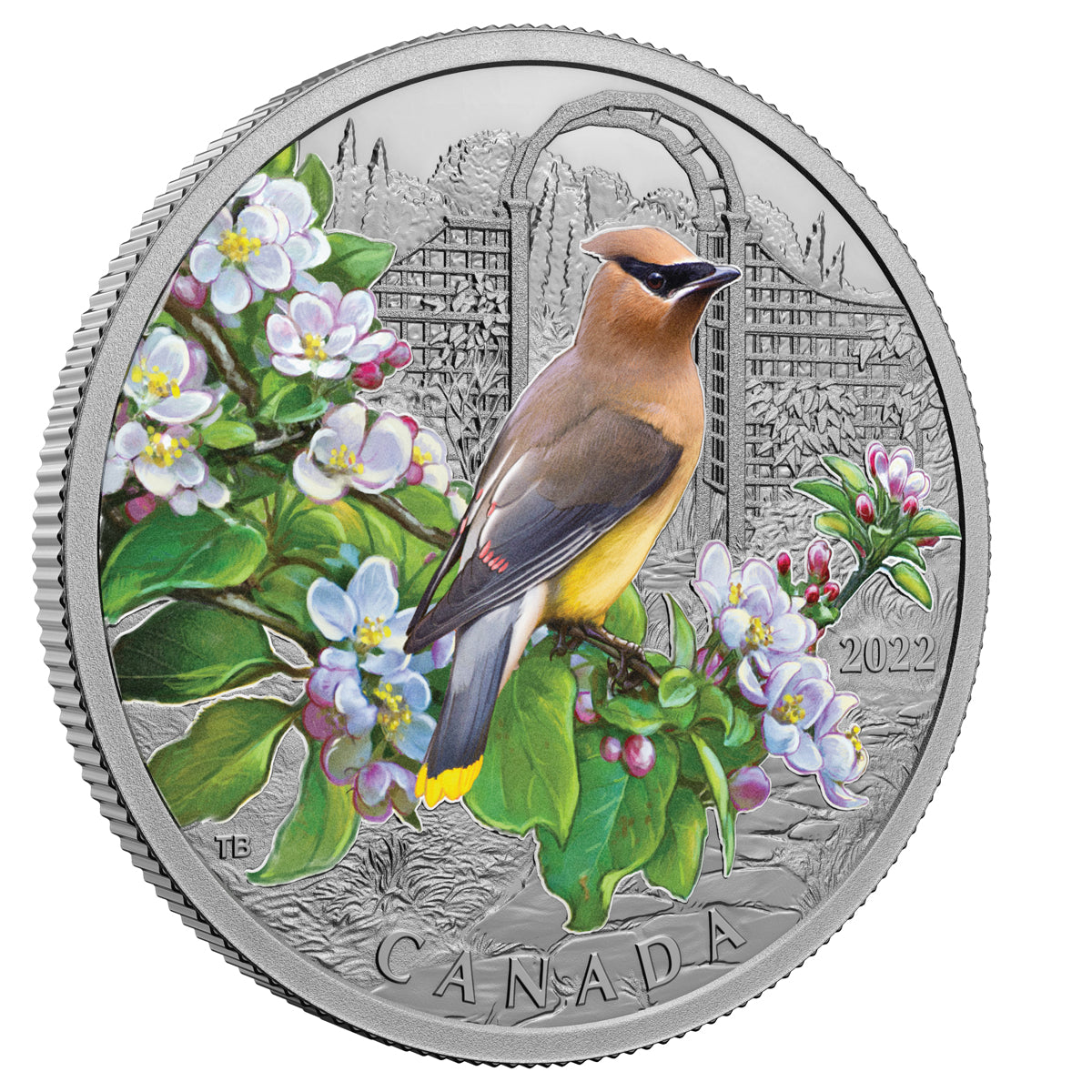 2022 $20 Colourful Birds: Cedar Waxwing - Pure Silver Coin