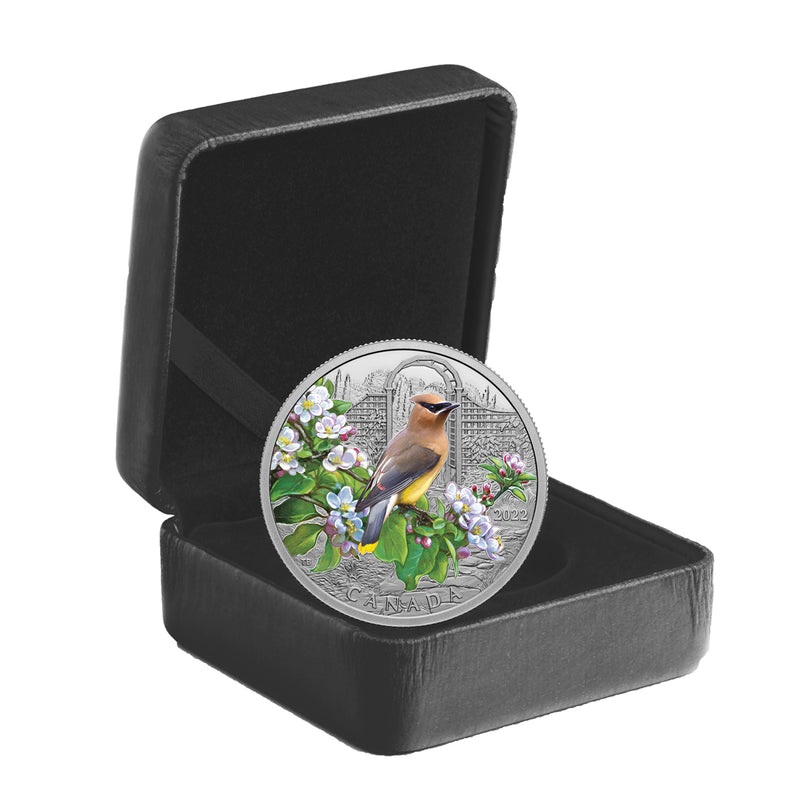 2022 $20 Colourful Birds: Cedar Waxwing - Pure Silver Coin