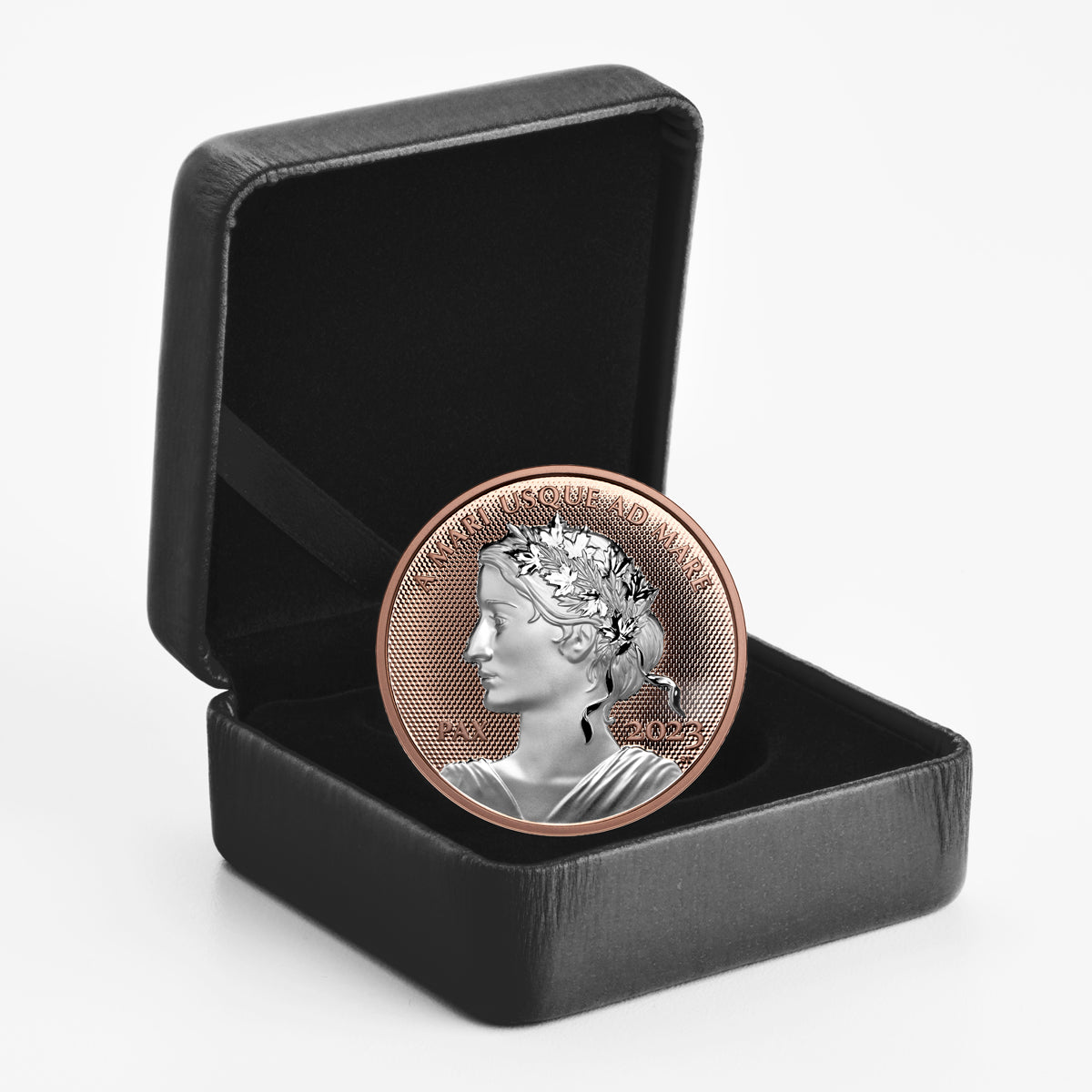 2023 $1 Peace Dollar - Pure Silver Coin