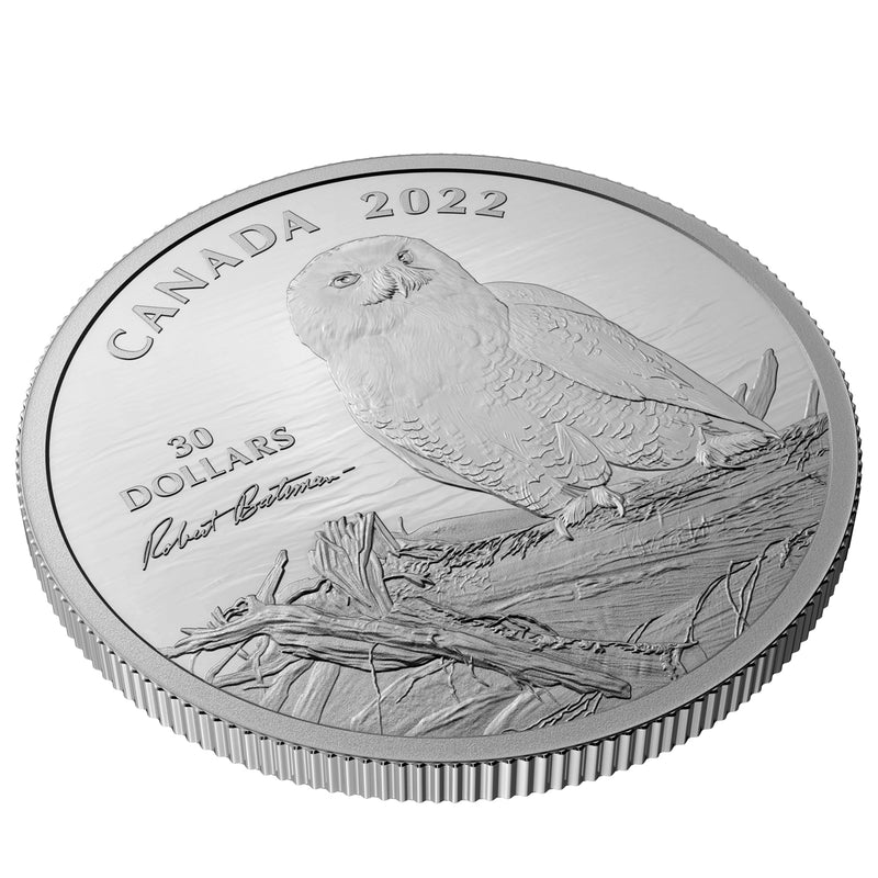 2022 $30 Snowy Owl on Driftwood, By Robert Bateman - Pure Silver Coin