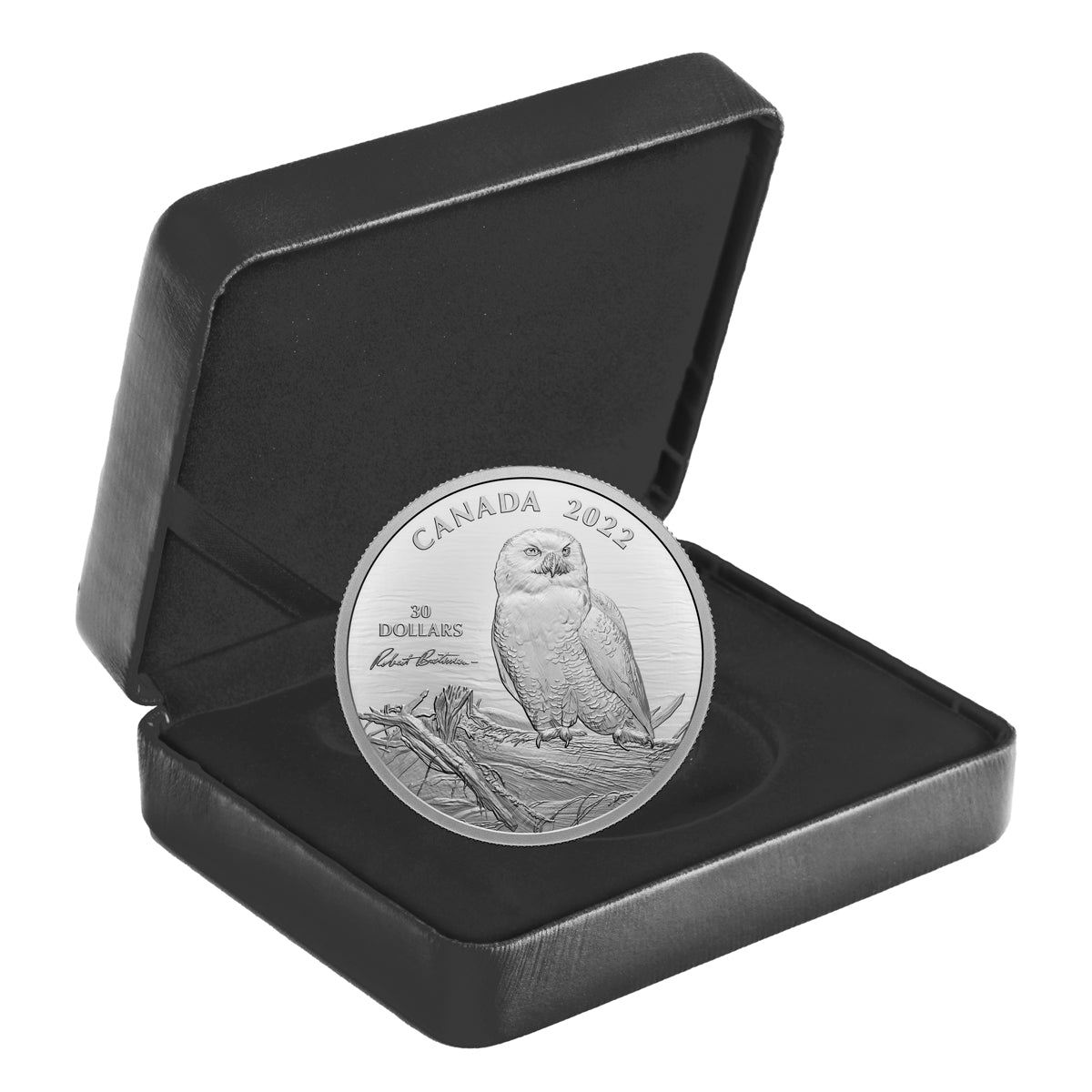 2022 $30 Snowy Owl on Driftwood, By Robert Bateman - Pure Silver Coin