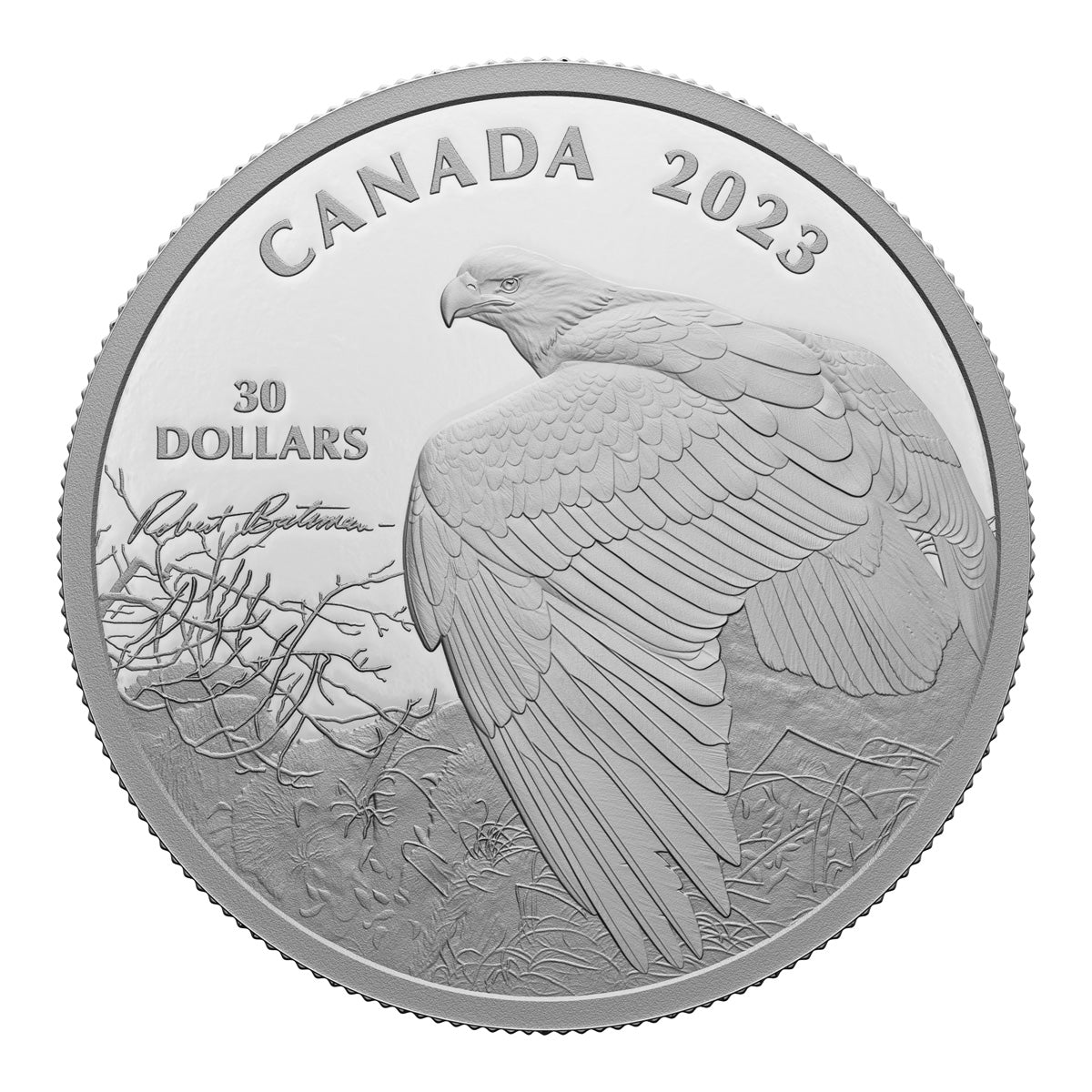 2023 $30 Vantage Point - Bald Eagle, By Robert Bateman - Pure Silver Coin