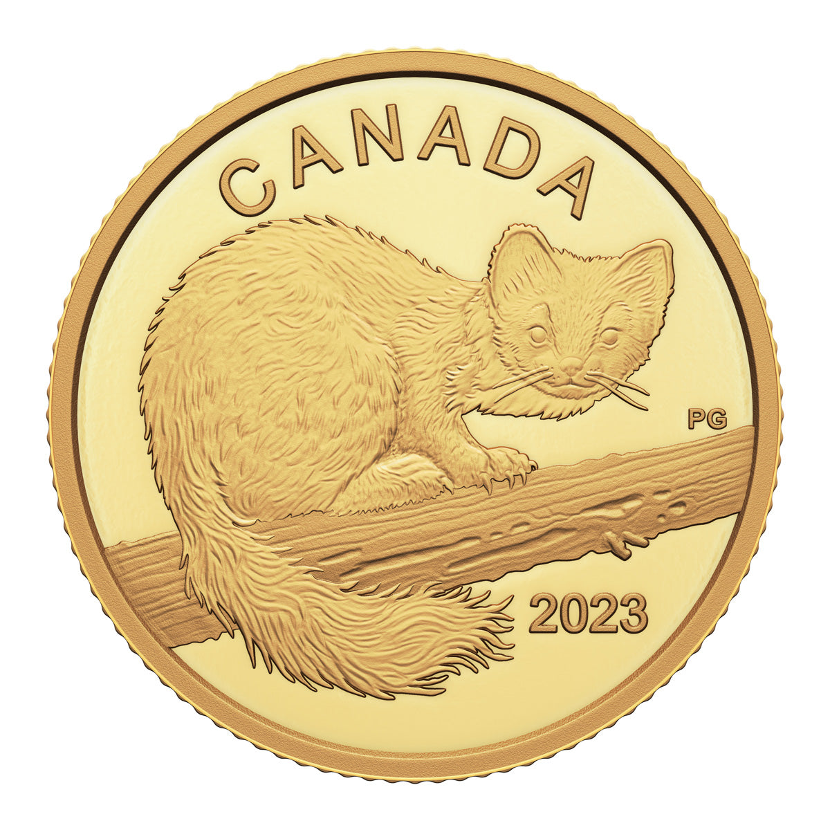 2023 $10 The Curious Marten - Pure Gold Coin