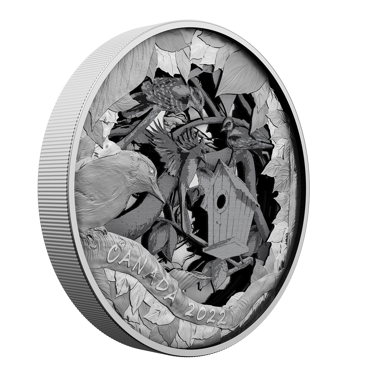 2022 $175 Birds in Shadow Box (R&D Lab) - Pure Silver Coin