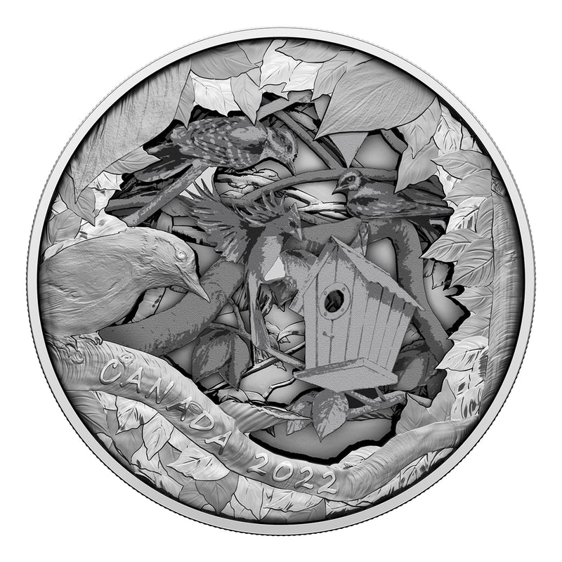 2022 $175 Birds in Shadow Box (R&D Lab) - Pure Silver Coin