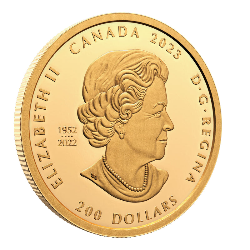 2023 $200 Celebrating Canada's Diversity: Knowledge and Interconnection - Pure Gold Coin