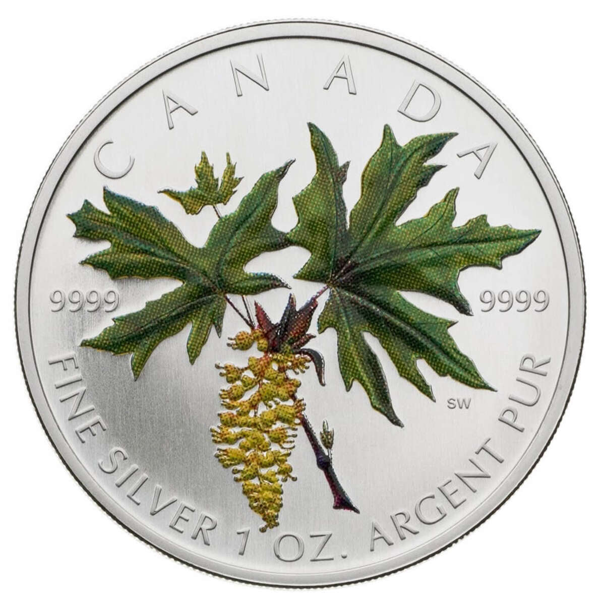 2005 $5 Coloured Maple Leaf: Bigleaf Maple - Pure Silver Coin Default Title