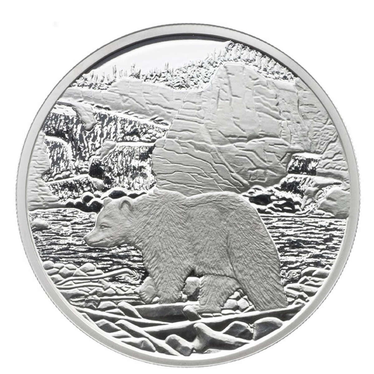 2006 $20 Canada's National Parks: Nahanni - Pure Silver Coin Default Title