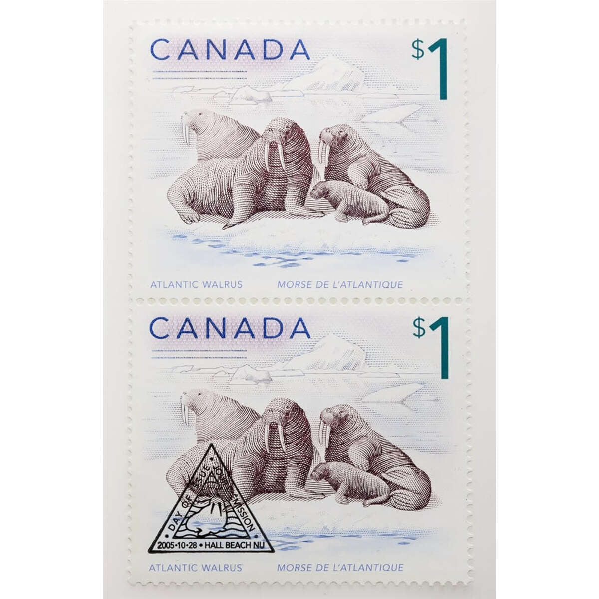 2005 $5 Canadian Wildlife: Atlantic Walrus and Calf - Pure Silver Coin and Stamp Set Default Title