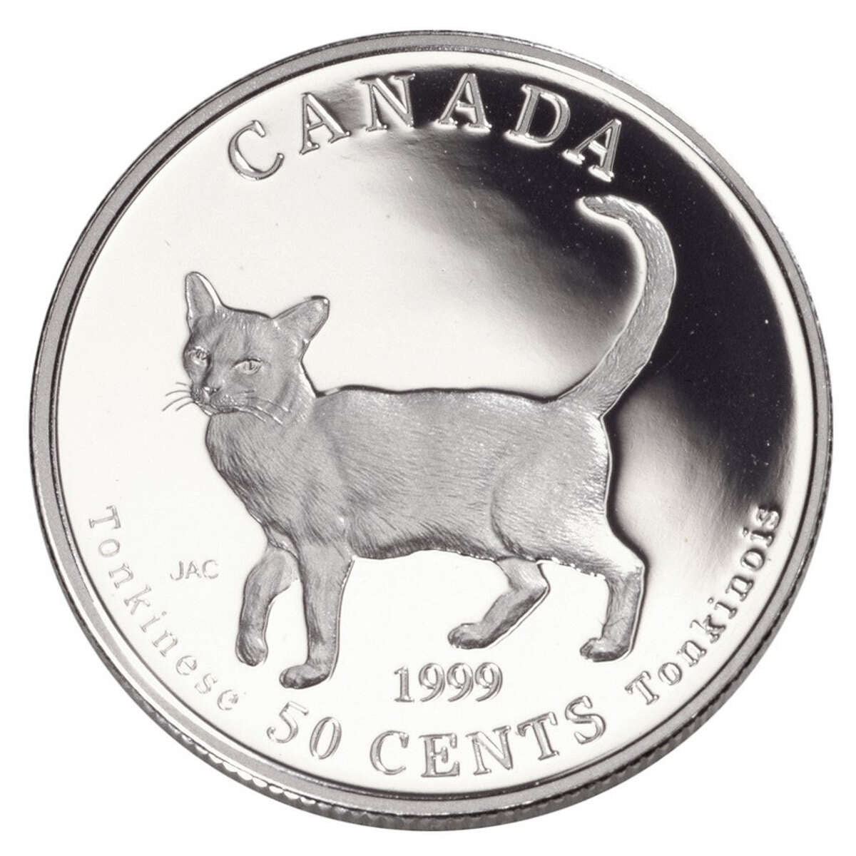 1999 50c Cats of Canada: Tonkinese - Sterling Silver Coin Default Title