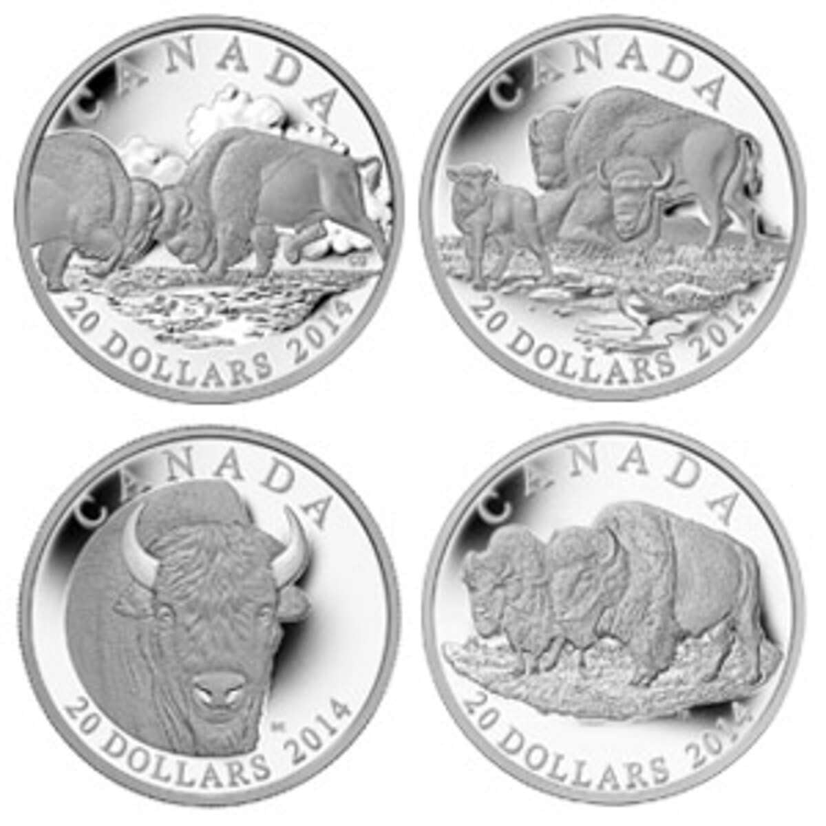 2014 $20 The Bison Fine Silver 4-Coin Set Default Title